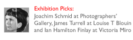 Exhibition Picks