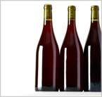 Wine Chap: Brave New World 1