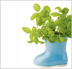 Home & Gardens