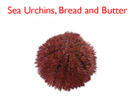 Sea Urchins, Bread & Butter