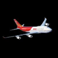 Oasis Airline