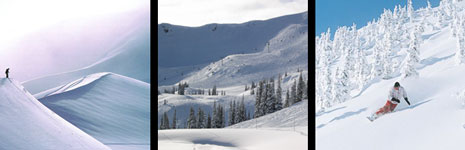 Whistler Mt
