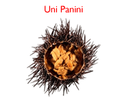 Uni Panini