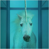 Damien Hirst