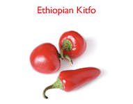 Ethiopian Kitfo