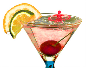 Bar Fly
