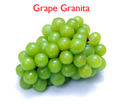 Grape Granita