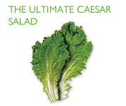 The Ultimate Caesar Salad