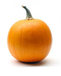 pumpkin