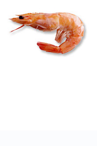 Goan Prawn Curry