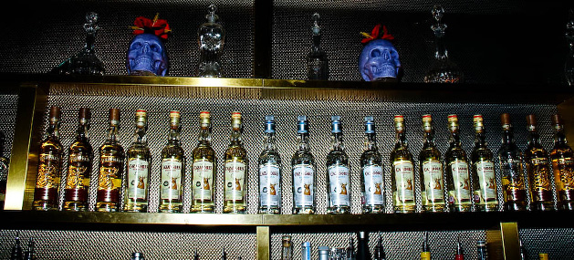 Dia de los Muertos