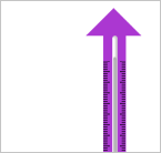 Beauty Barometer