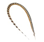 Reeves Pheasant Feather