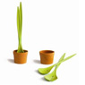 Salad Plant, &pound;18
