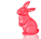 rabbit