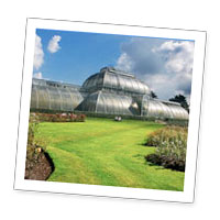 Kew Gardens