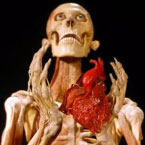 Bodyworlds