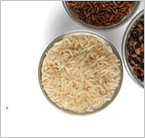 Go With The Grain