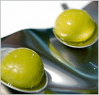 Wine Chap's Wine Tips: El Bulli