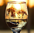 WineChap's weekend wines: