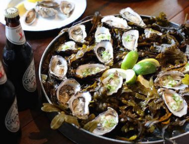 All You Need To Know About Native Oysters