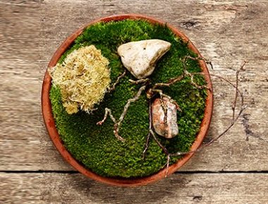 Braised Wallaby And Emu Tartare, Anyone?