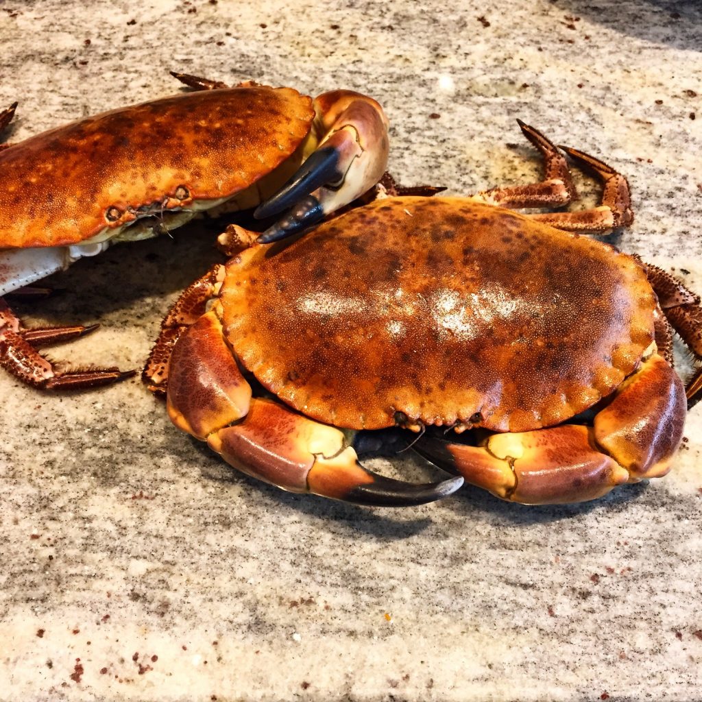 CLAW Seafood Pop-Up Residency, Soho