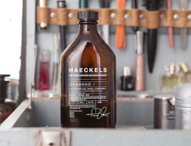 Haeckels at Hostem