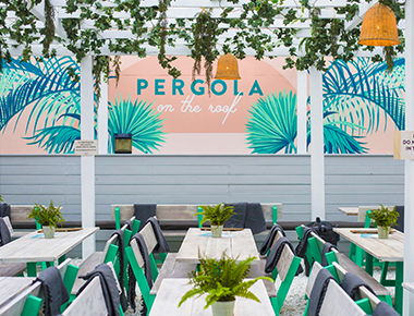 Pergola Paddington Central