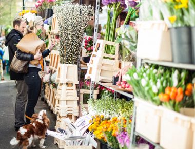 Columbia Road Flower Market