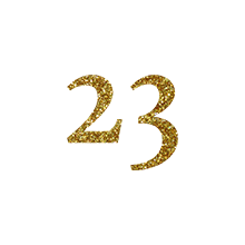 23